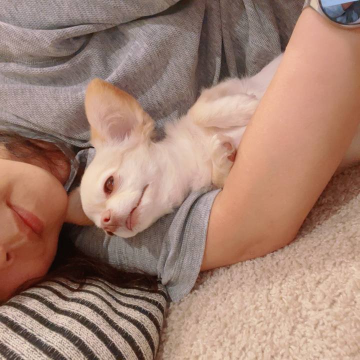 81a2c2a9 4fd5 44c4 958d 91542cb9afb3 1758293018736