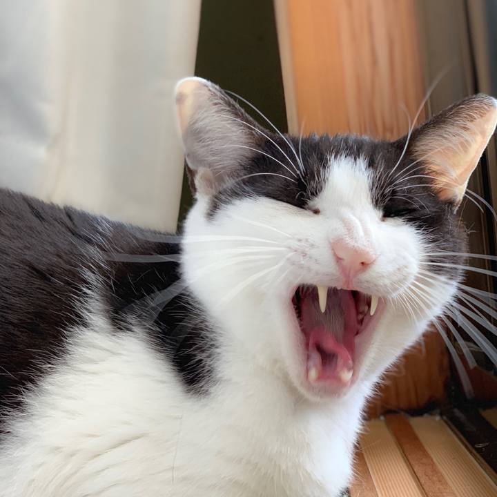 81a2daa8 fe68 45b7 b8f6 59caa7e2a4b9 1564795174180