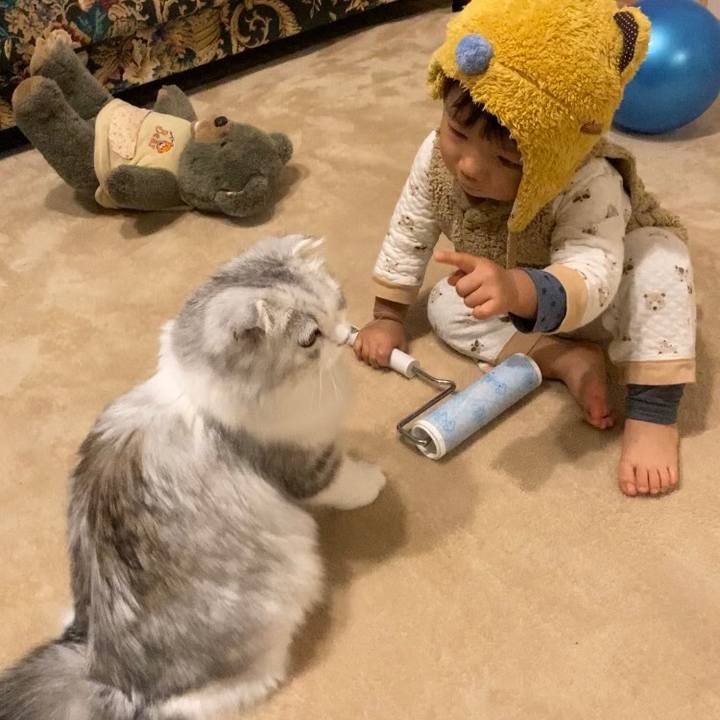 81a3218c 5b0d 481a bf9d 34be300d78e0 1604743597952