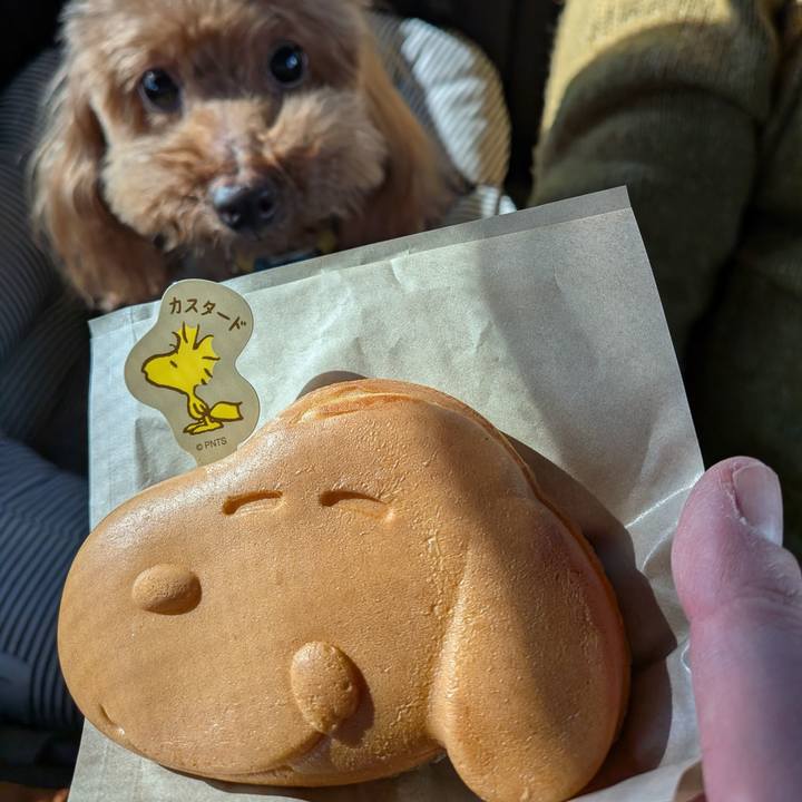 81a32ede acd2 46c1 a0e7 47f60997e52d 1770967351143