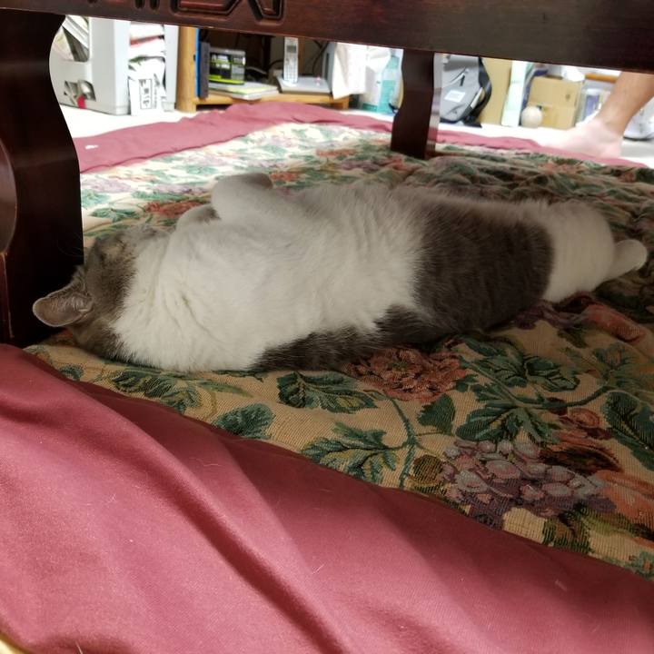 81a357d1 d5ff 4111 938a a2992a7d7e09 1597320571323