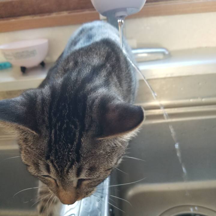 81a3a37e 13c7 46ec b82f bf9722b5849e 1672387938899