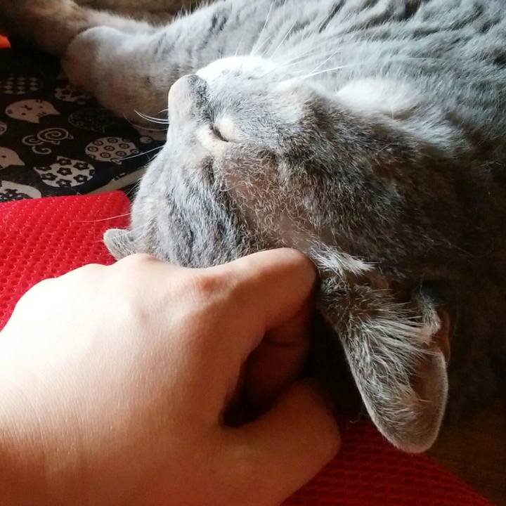 81a3c2e9 17ee 46ef ba60 ebbdcdfc7518 1598233605496