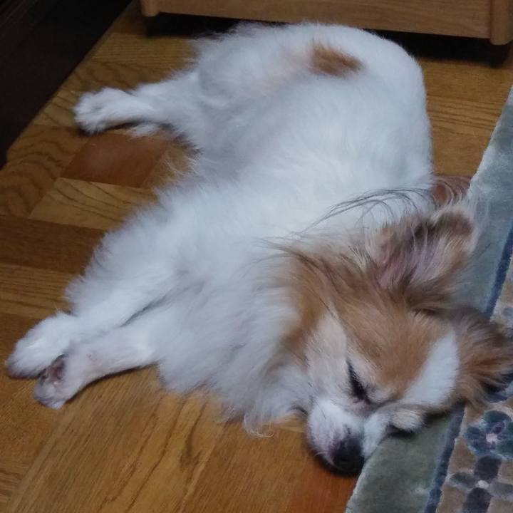 81a401b1 df22 47a0 983b 0329477f5fa2 1537101004460