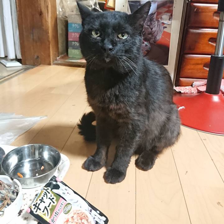 81a42685 a4e0 4168 a8dc deecbaae658b 1626089582598