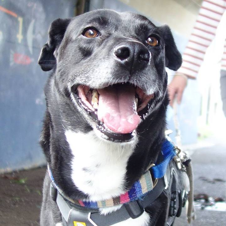 81a42c64 497a 4aef b41b cf5627c2e963 1650588682757