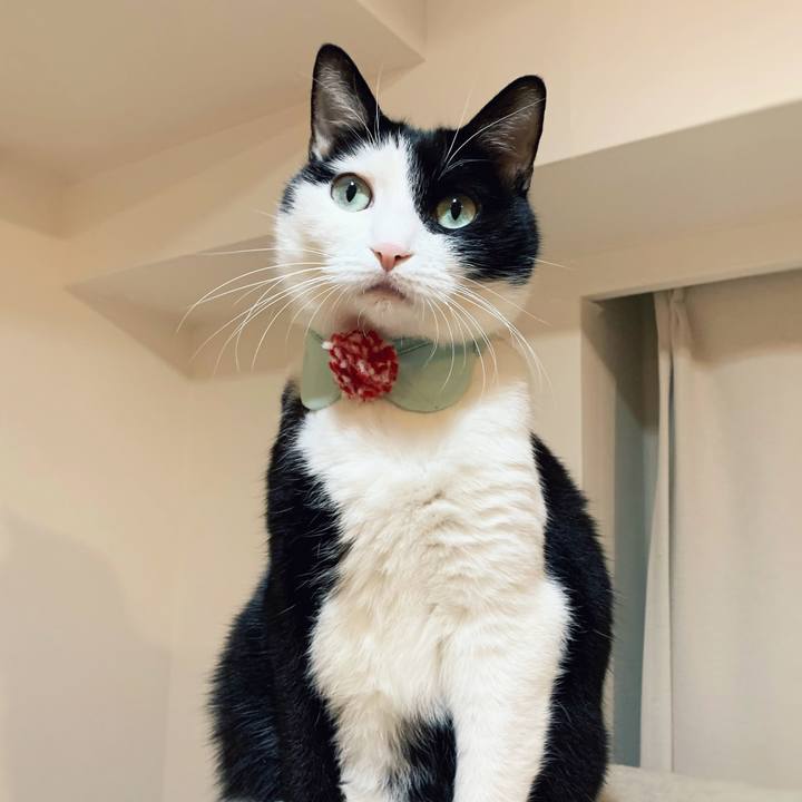 81a44087 b531 437c 8d31 9a0d47af3dbe 1573770751072