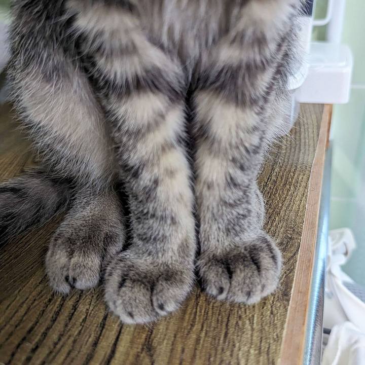 81a4603c 1e25 4a78 8ee1 1d5d072be948 1707540175323