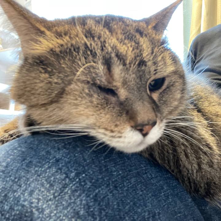 81a4785b 546f 4eea 8678 390007fa684b 1742428359448