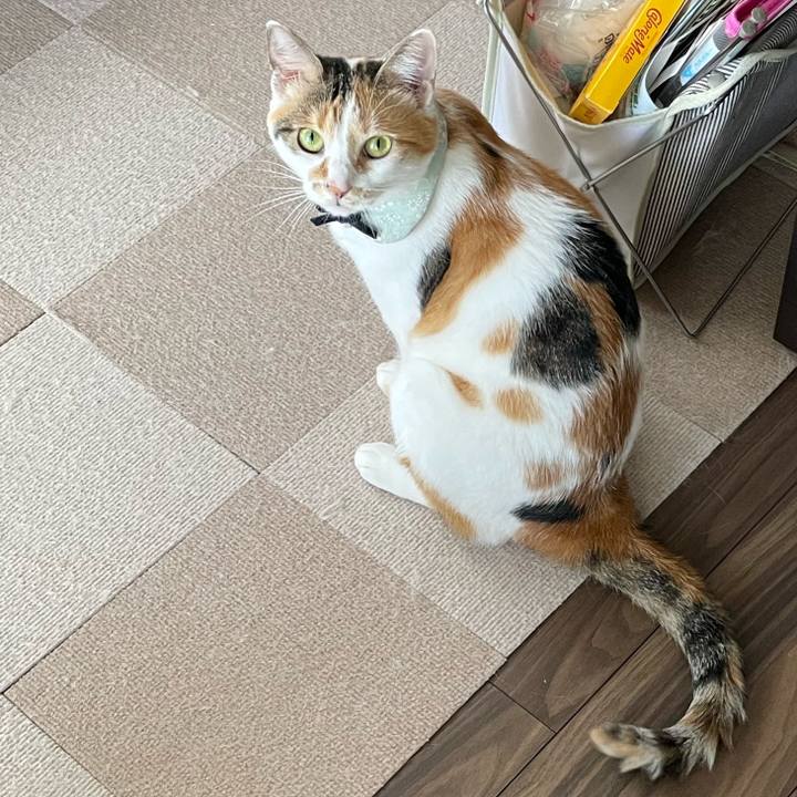 81a48a01 5abb 497c 8911 4f3cb93db4aa 1662521415614