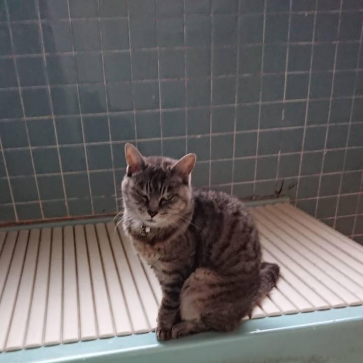 81a491cf bd89 4a8e be45 3ba48438641b 1571729367938