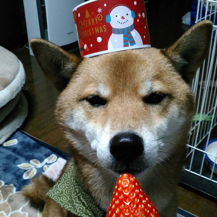 81a4c300 b751 4387 9dce c8a8225be9f3 1514027817564