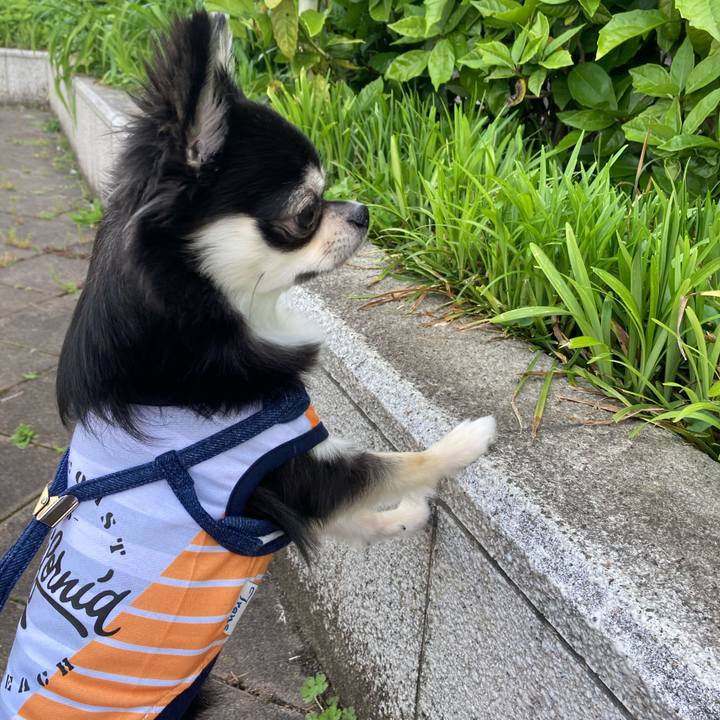 81a4ce56 b9fd 47d6 927a 792e1e8925e4 1619844250584