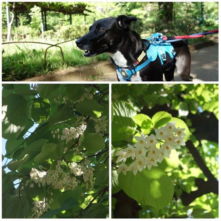 81a4f18d 8314 4fe2 94f4 f53e4a438296 1619049819404