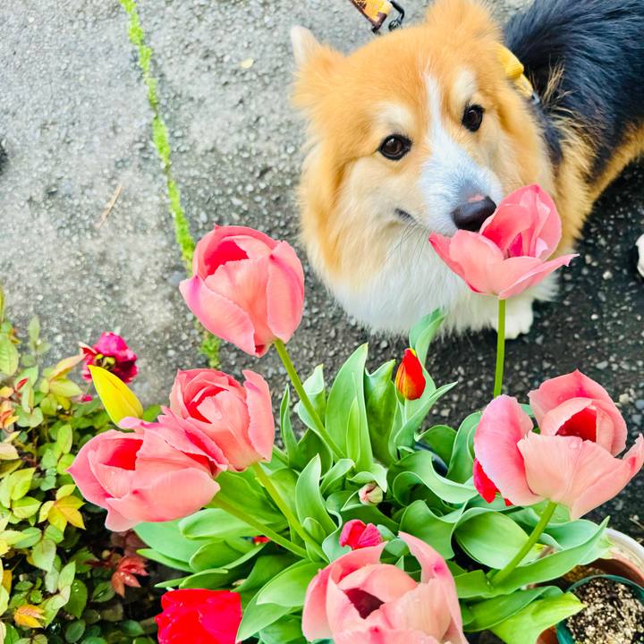 81a50e12 6fb5 4db5 b232 89a1f9dda2e1 1775354444103