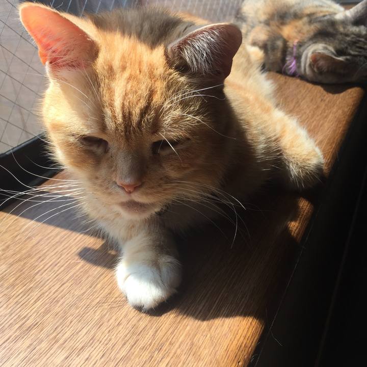 81a5421b 91a5 45ff 9a69 494de9baa18e 1555728116632