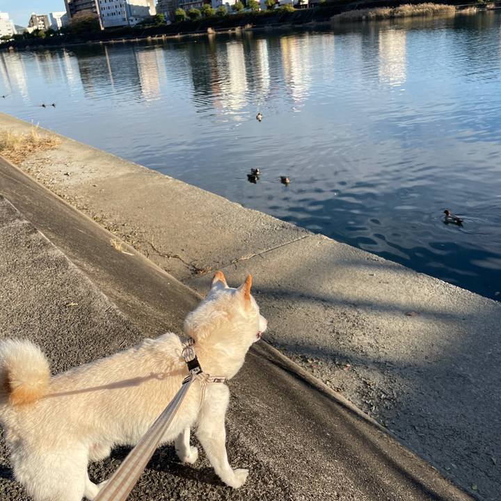 81a55c9d ceec 4cfd b0c8 fa12870bf060 1638193780096