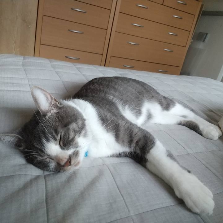 81a56fe8 a6fe 4b41 96a5 f9a70baf6064 1599432212168