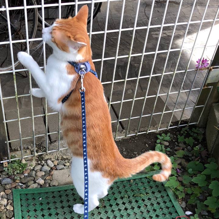 81a58fe7 045a 4e3e 9e67 e28c7ba16133 1539322713158