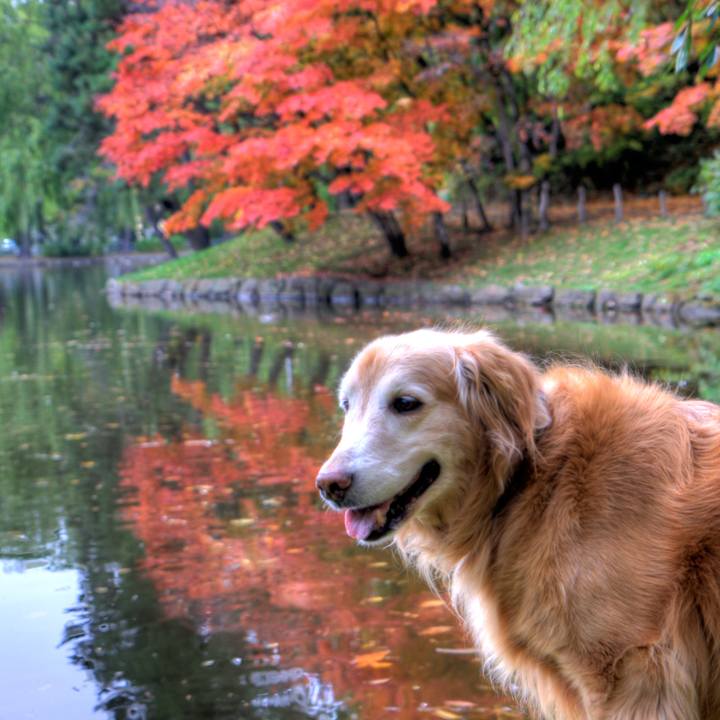 81a59919 a4e9 4876 8a96 a1ba5ae7e432 1763549300411