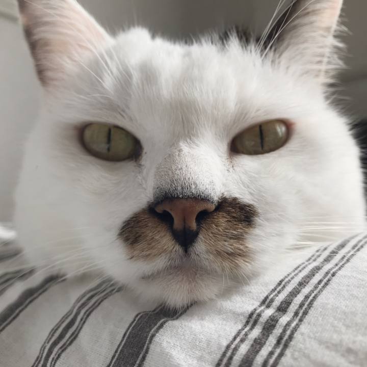 81a5b2b2 d18c 479b 8f3e 8b3a6bdb6c30 1568691942543