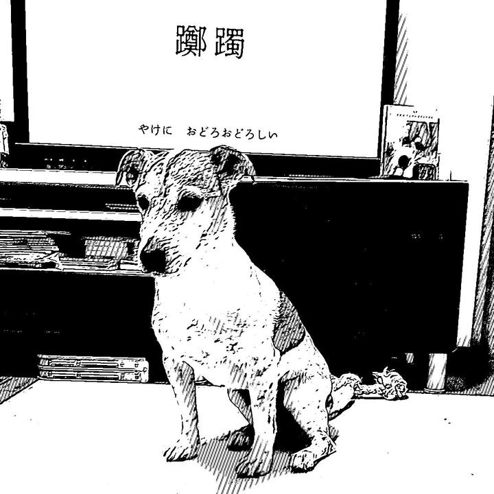 81a5e3f1 55ec 4fb4 8c20 7daf7255b946 1554986566277