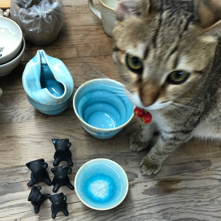 81a61406 22c6 4ae9 86bc 8a86bcb6e28f 1593058318323