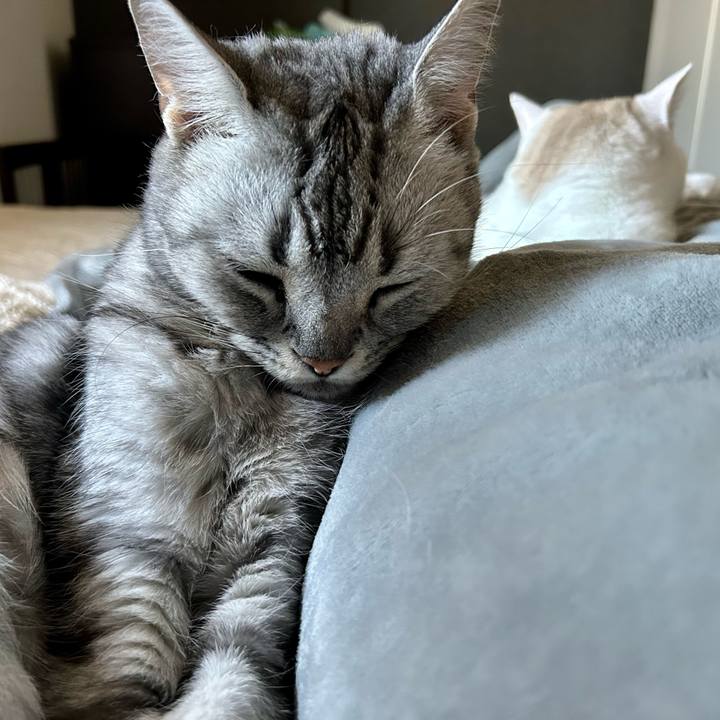 81a62800 e0a7 4209 af78 deb8d6f200c8 1697667508600