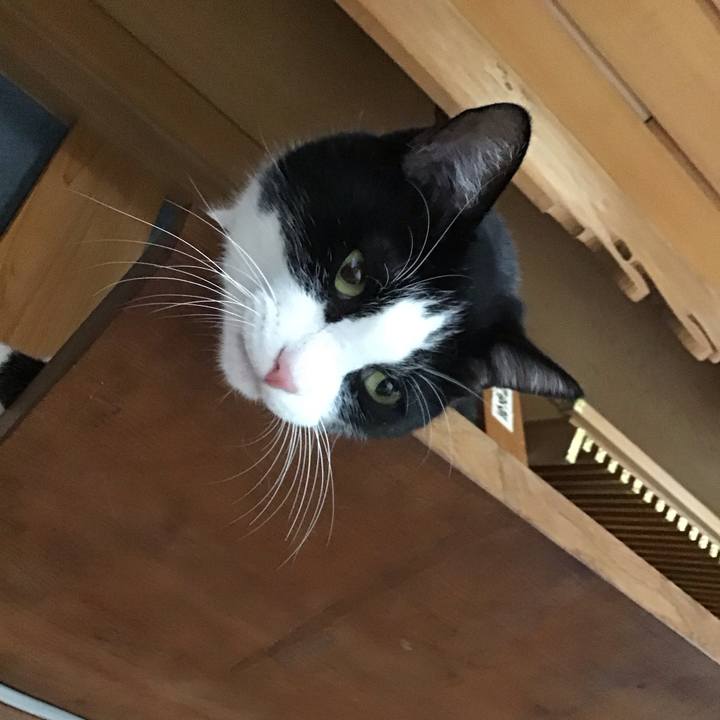 81a62b36 ee94 4658 a38c ea0e6ba7602d 1753438410083