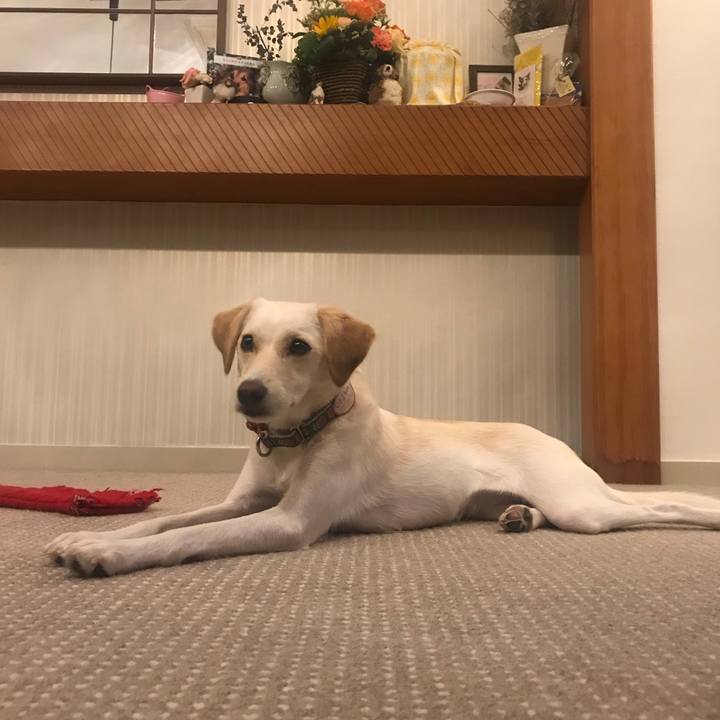 81a62ea7 142e 4a4e 94c0 a69f9c9df83f 1534686616719