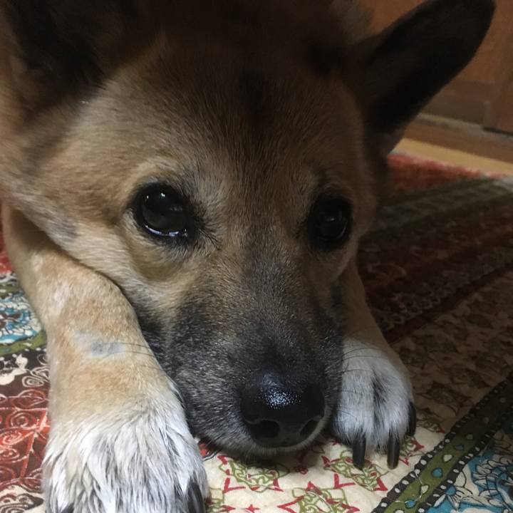 81a64d40 9805 4025 80ed 9b069e5e2654 1516969140355