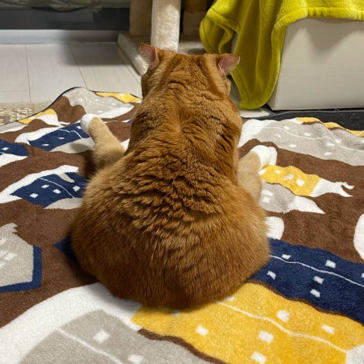 81a65dfb 974c 4f02 ac34 4e51a9b9084c 1674377773429