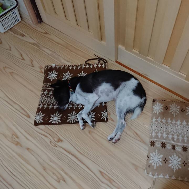 81a66968 79d4 4200 aaf6 f49f6c067b5d 1567950112582