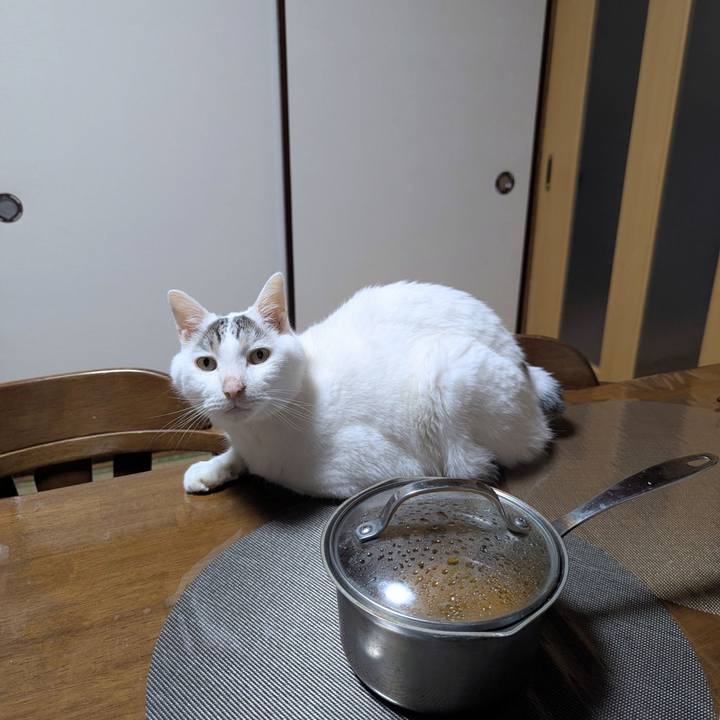 81a68c79 ef0f 4445 9fe6 1ccc0bcfef99 1756338758500