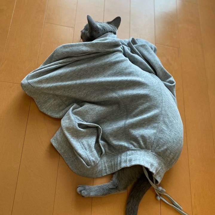 81a6a4ec a561 4d21 8c07 eb250a61e1c7 1658132705298