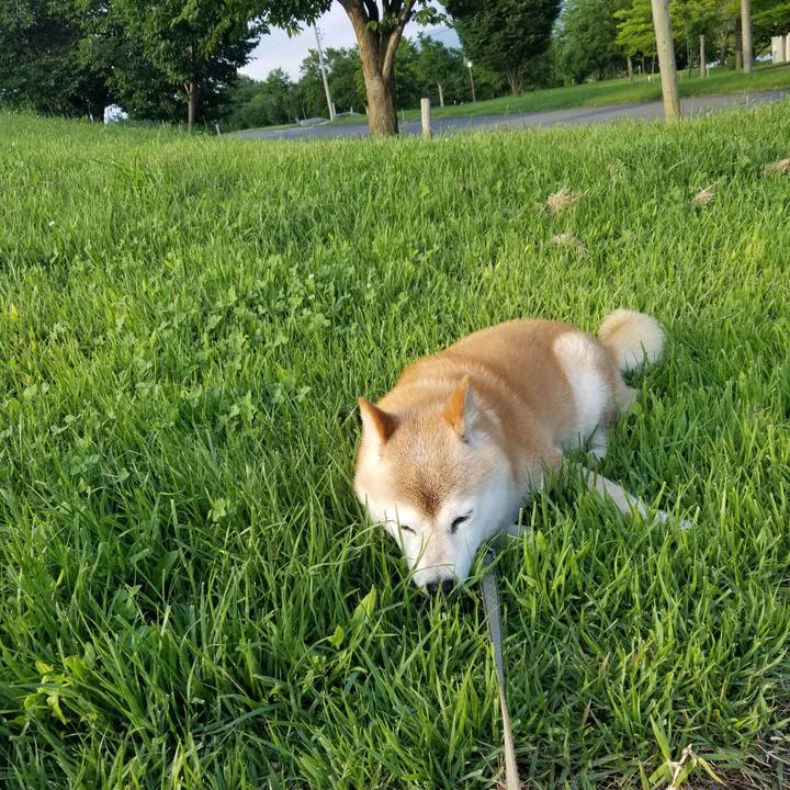 81a6aa44 d42f 4b8c 8035 3d57f513fcc6 1689500658791