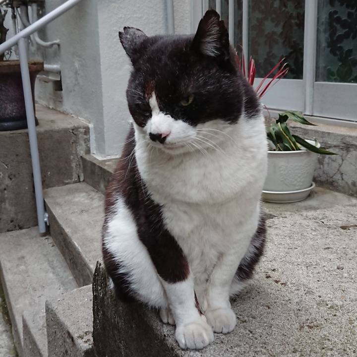 81a75416 3421 4edf 9e8a 9e1a0b5b912a 1651999375577