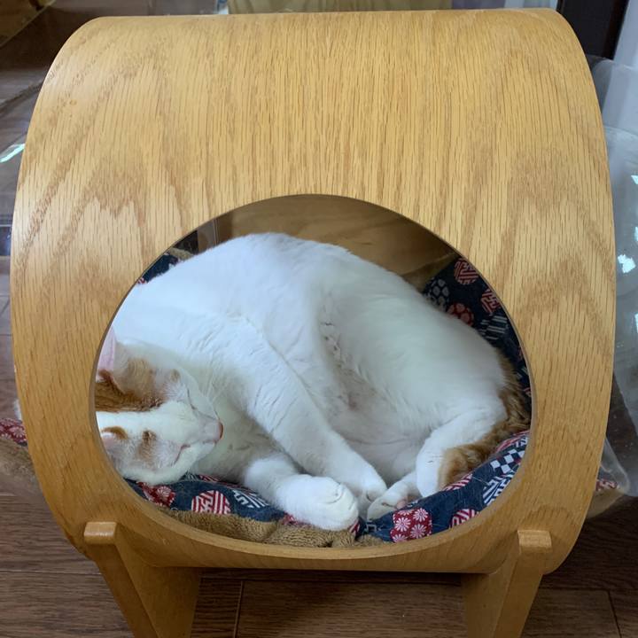 81a79e75 97e9 491b b055 7084021285b3 1655850179032