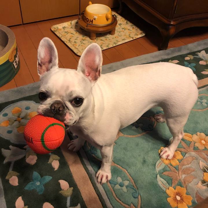 81a7a21a 36f7 491c 9620 2d222a24710c 1543732026049