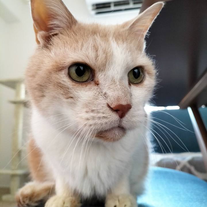 81a7c514 a1a3 4437 8083 e92bf119b59f 1701815457410