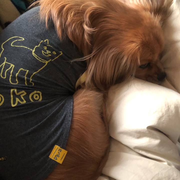 81a7eb61 3d9b 43fa af30 d891a821ea77 1548197034069