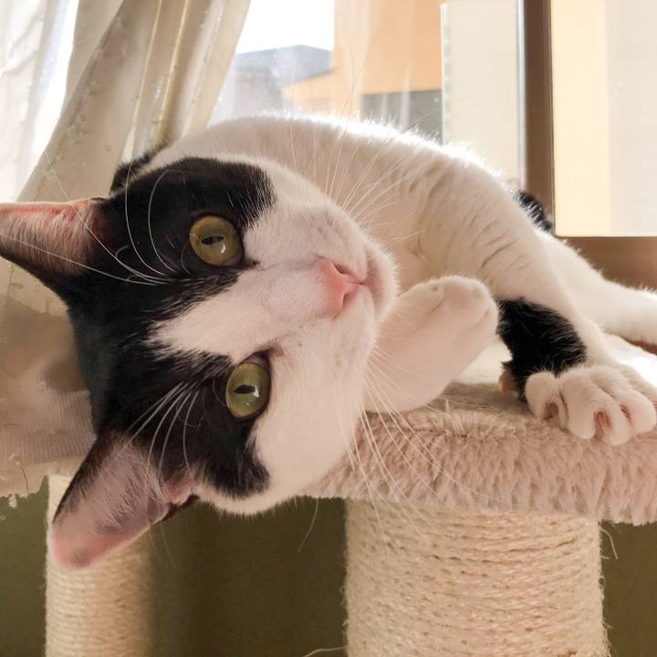 81a80faa 5ce7 483a 8304 15ebda2d81a2 1521592905235