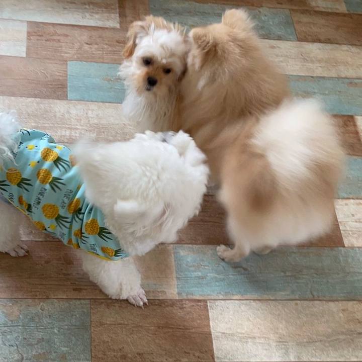 81a82d14 e98d 4d28 8b86 82eebbd3e707 1624084058284