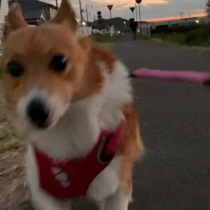 81a82e76 fcc7 4ae5 9af3 81db64ada44a 1697446659963