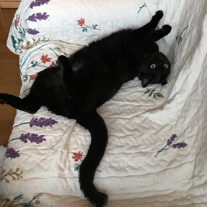 81a84321 ce08 4382 8adb 1308af4051da 1611959682922