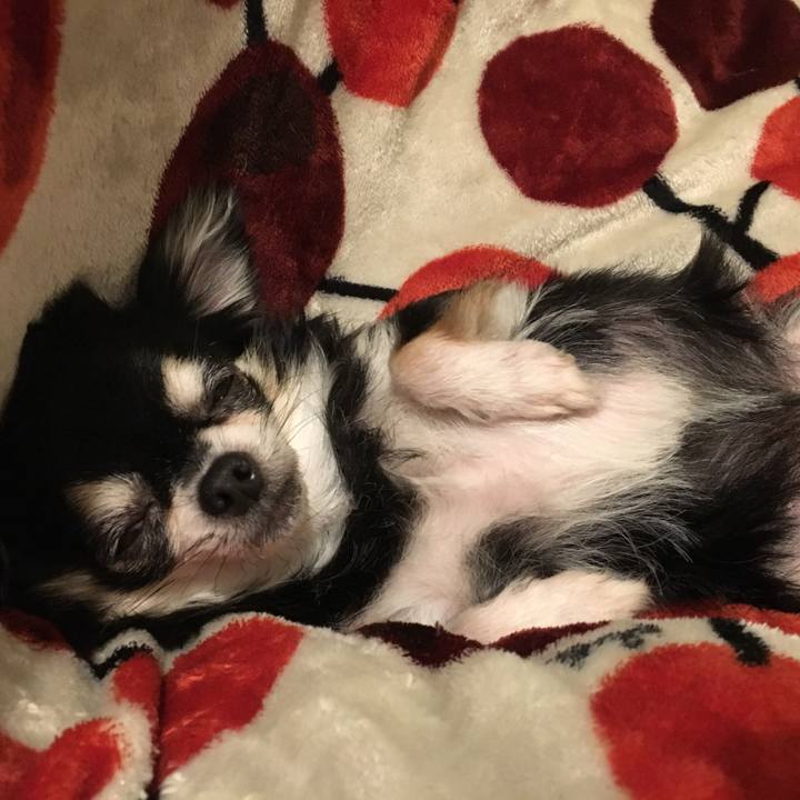 81a85aa0 9e40 4a2e 8e54 835d766f9883 1508417962233