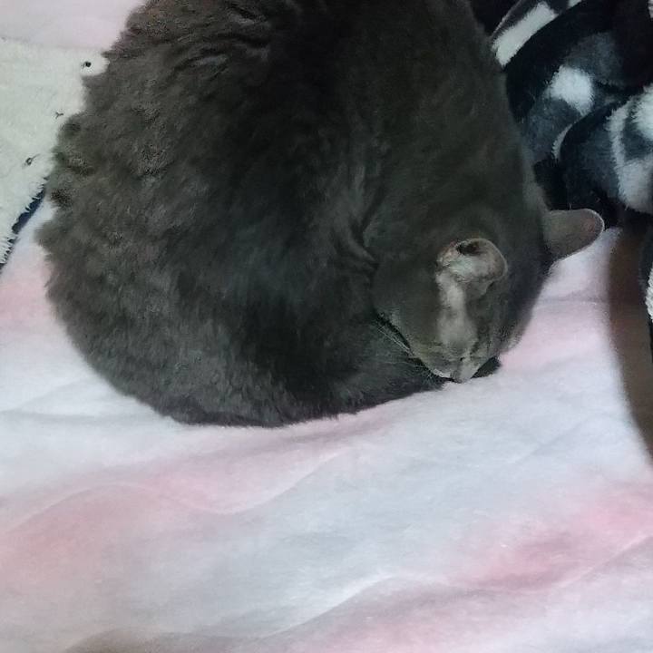 81a88ad5 7738 4c90 bb63 e741d5f1f5f5 1606725518700