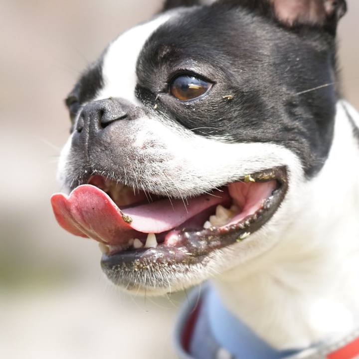 81a8b76e d813 4bfb bc1b cd5d1c7d7046 1521977218487