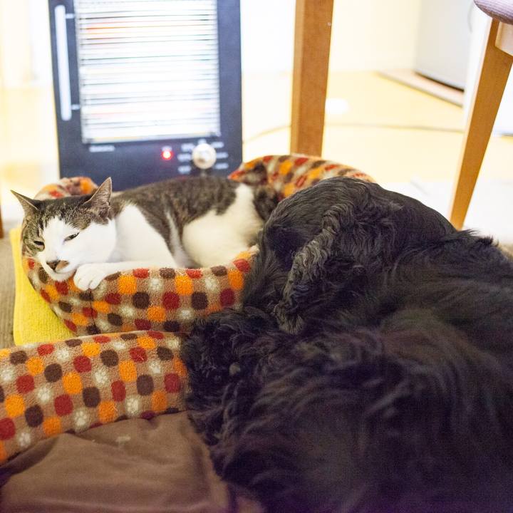 81a8d1a6 aeec 49d7 8ff5 697081b3890f 1553353914887