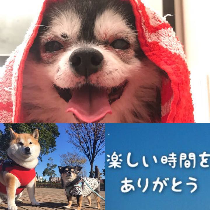 81a9190e aed6 41a1 90d1 c45f7eae9be7 1614916499792